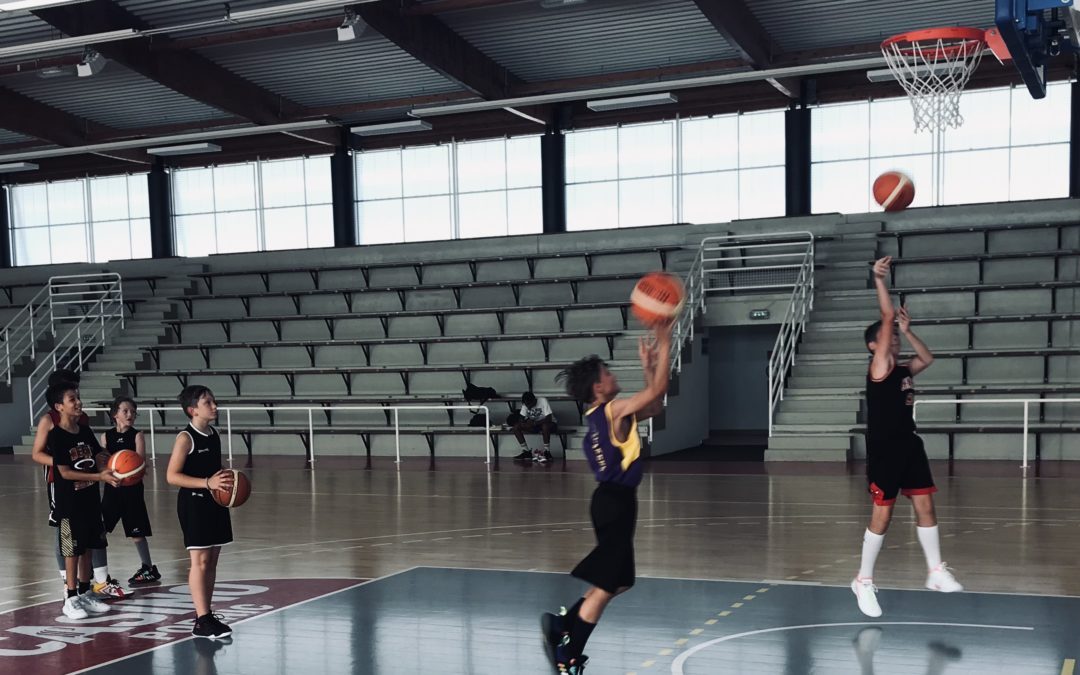 Une nouvelle option au collège : BASKET