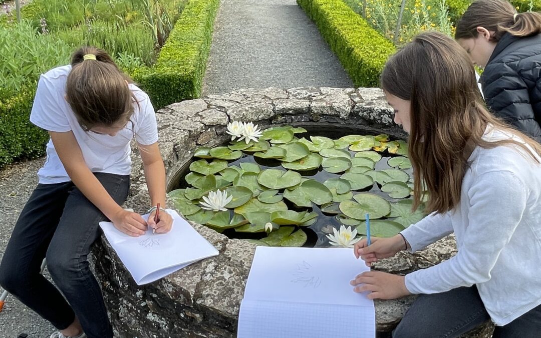 Journée à l’abbatiale de St Philbert – Atelier croque jardin